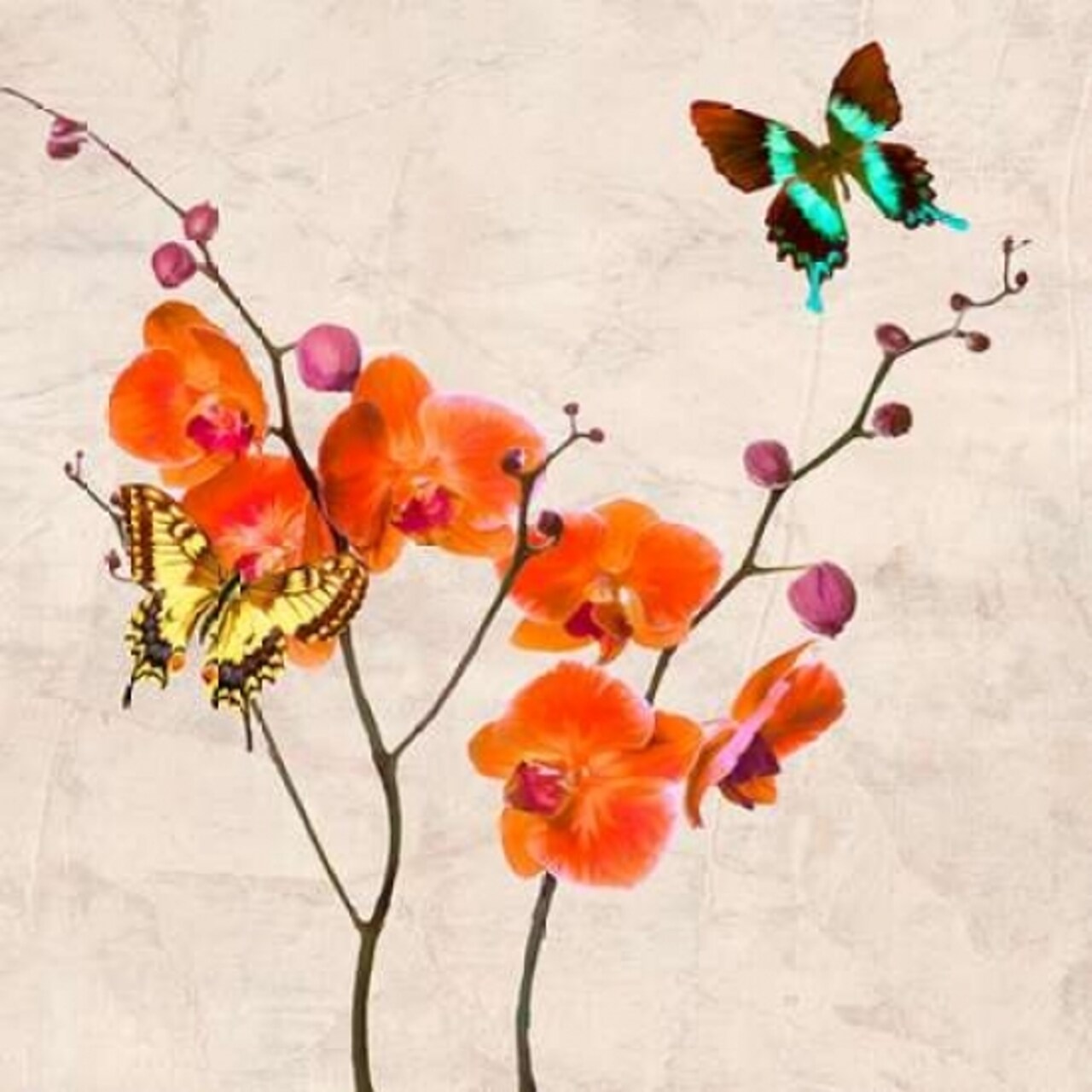 Orchids and Butterflies I Poster Print by Teo Rizzardi - Item # VARPDX1TR1892